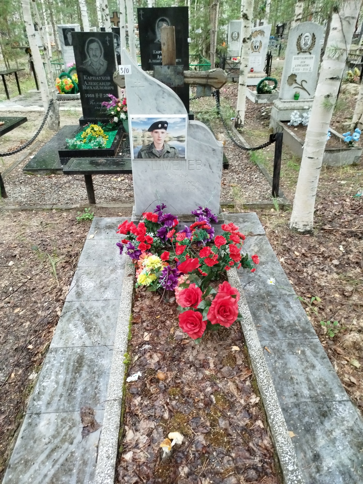 Шмелев Сергей Александрович