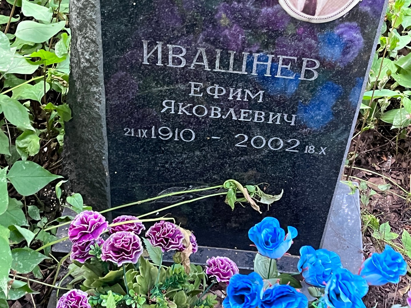 Ефим Ивашнев Яковлевич