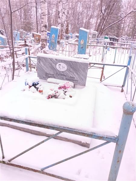 Гуляев Николай Петрович