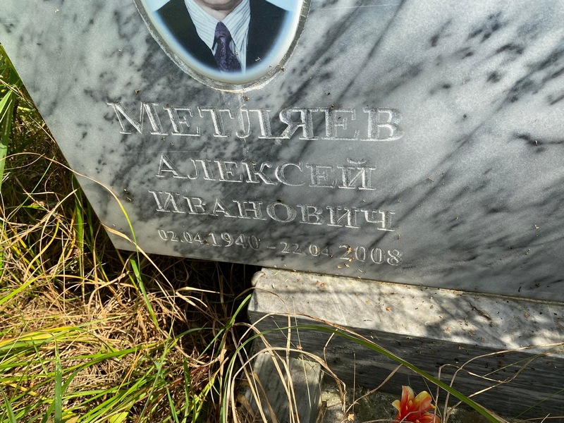 Метляев