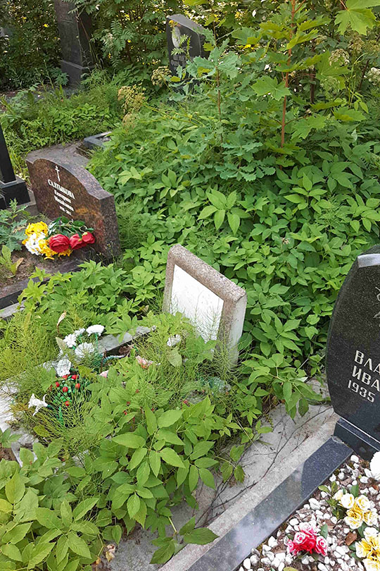 Голованова Тамара Дмитриевна