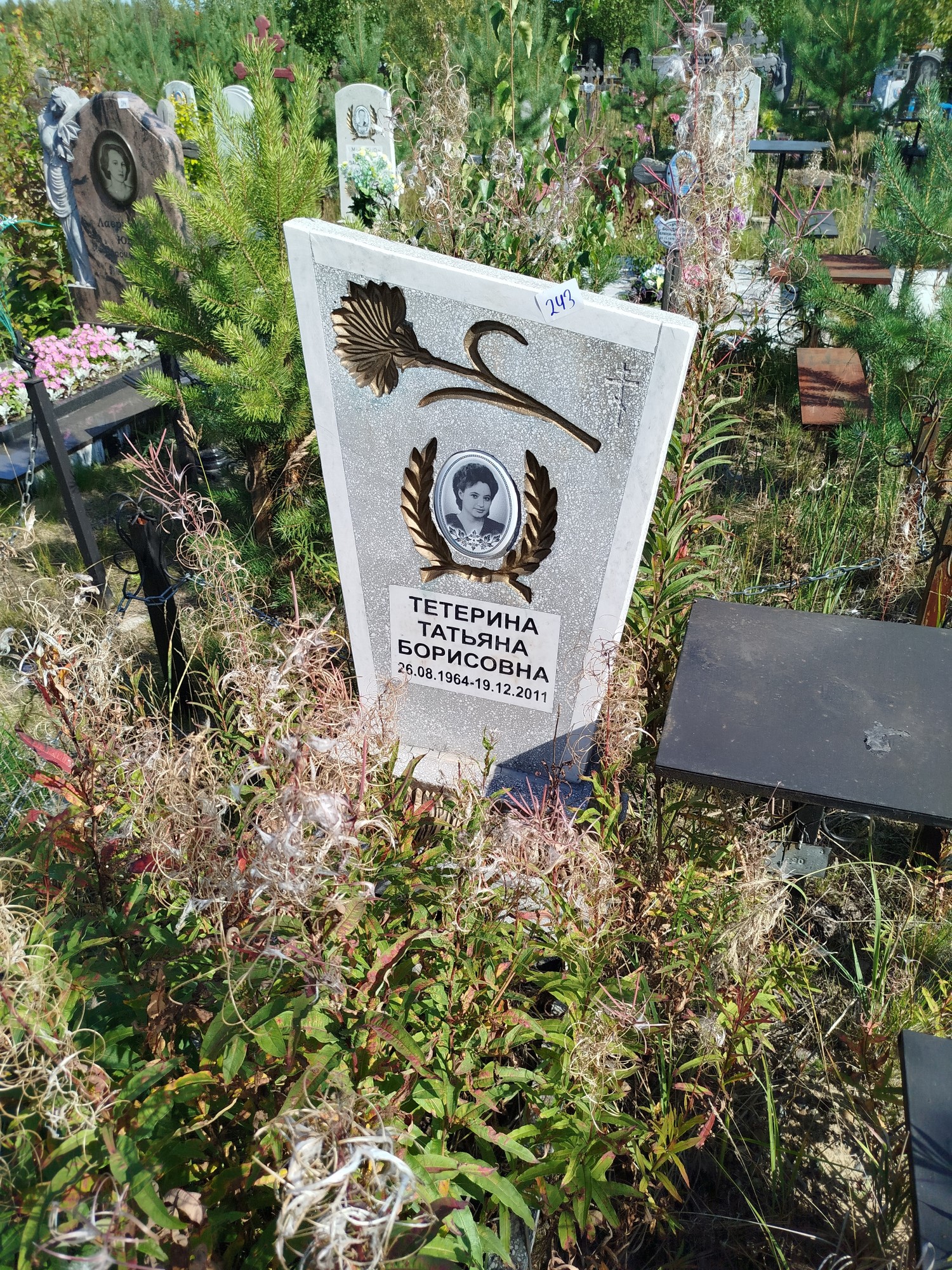 Тетерина Татьяна Борисовна