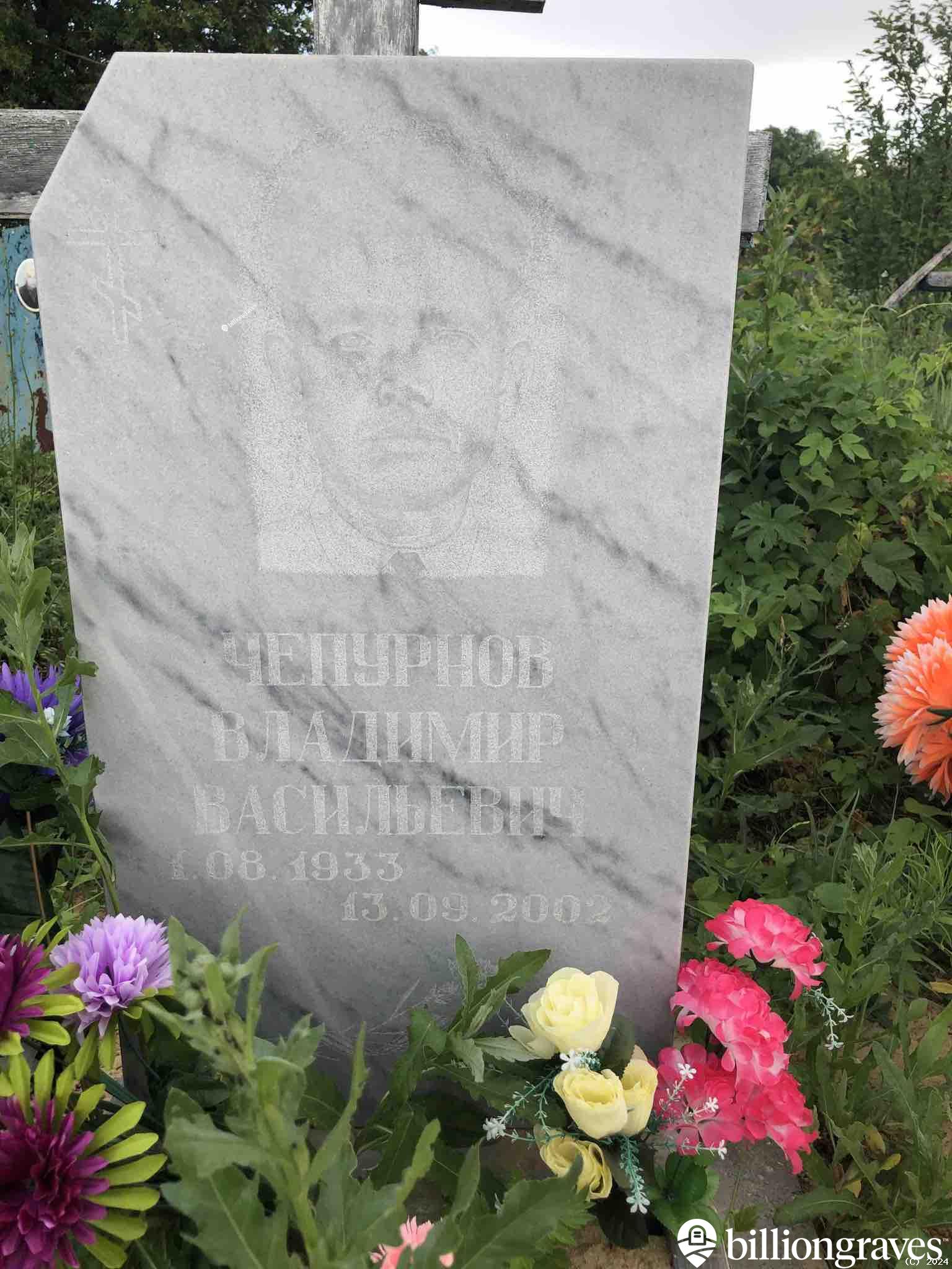Чепурнов Владимир Васильевич