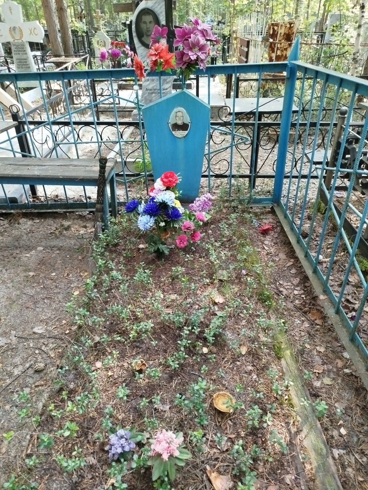 Мельников Василий Давыдович