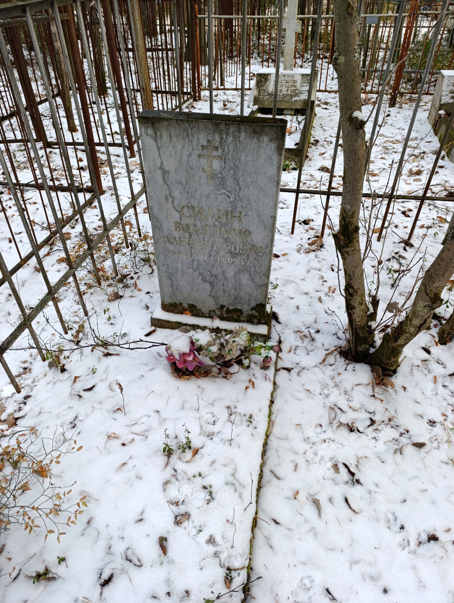 Силин Владимир Александрович
