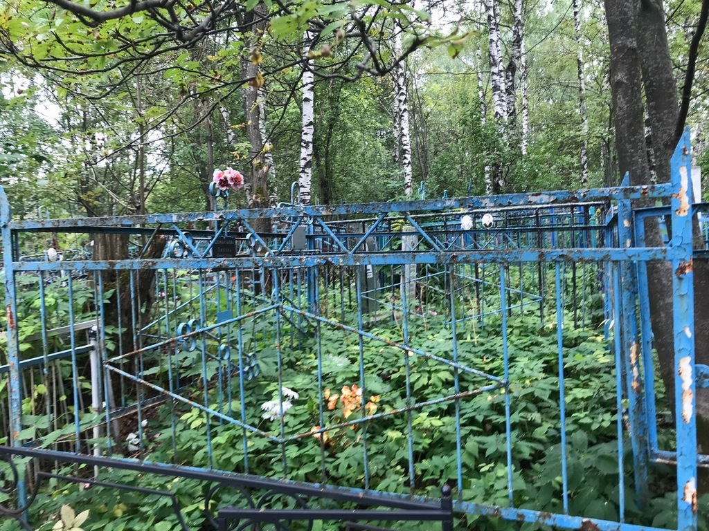 Дементьева Любовь Андреевна