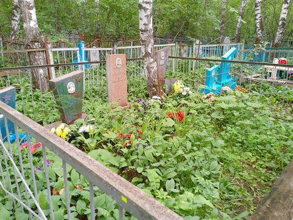 Еланский Николай Александрович