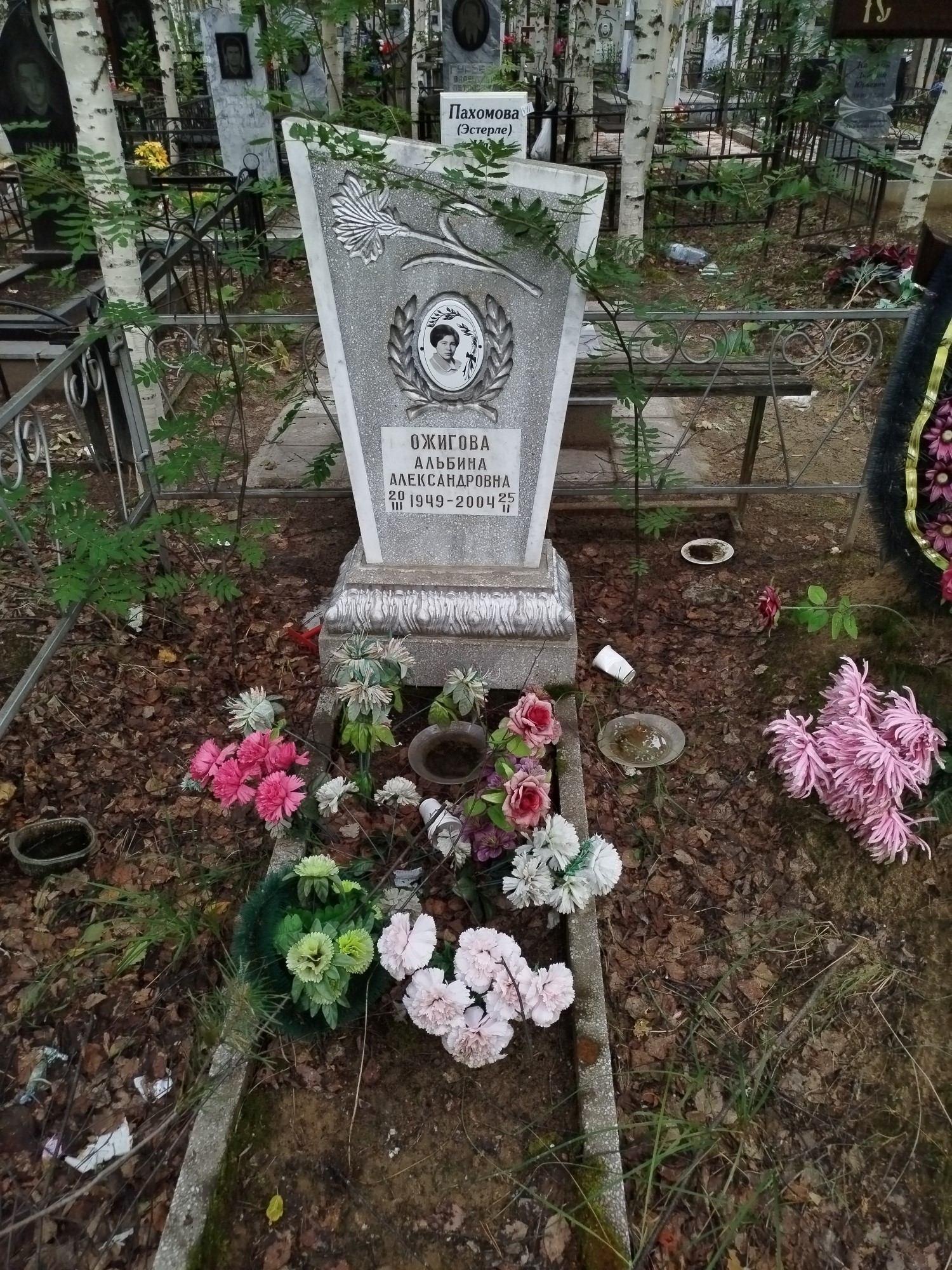 Ожигова Альбина Александровна