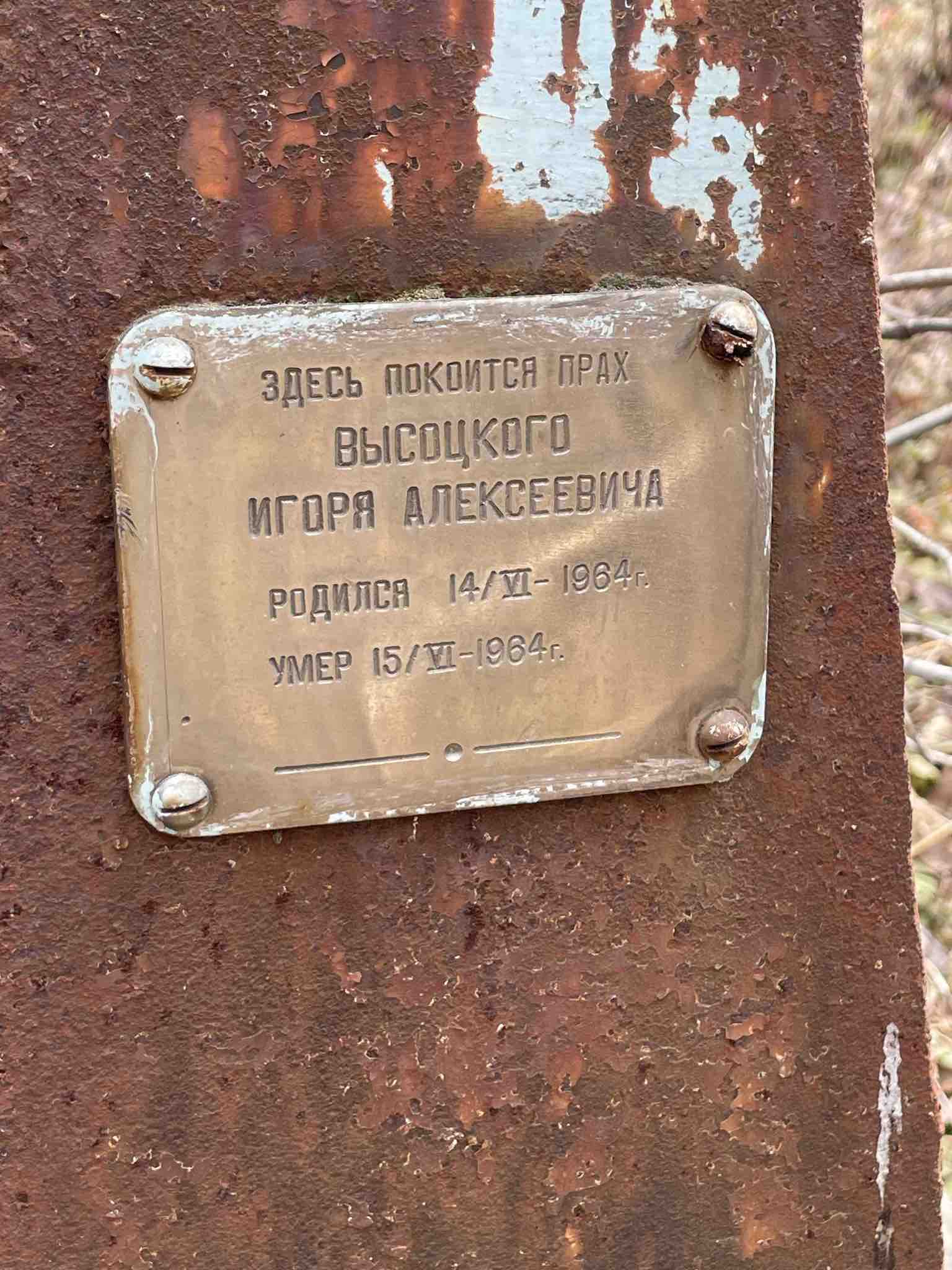 Высоцкий Игорь Алексеевич