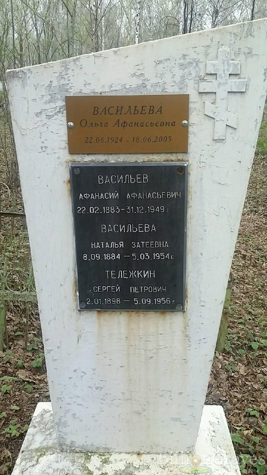 Васильева Наталья Затеевна