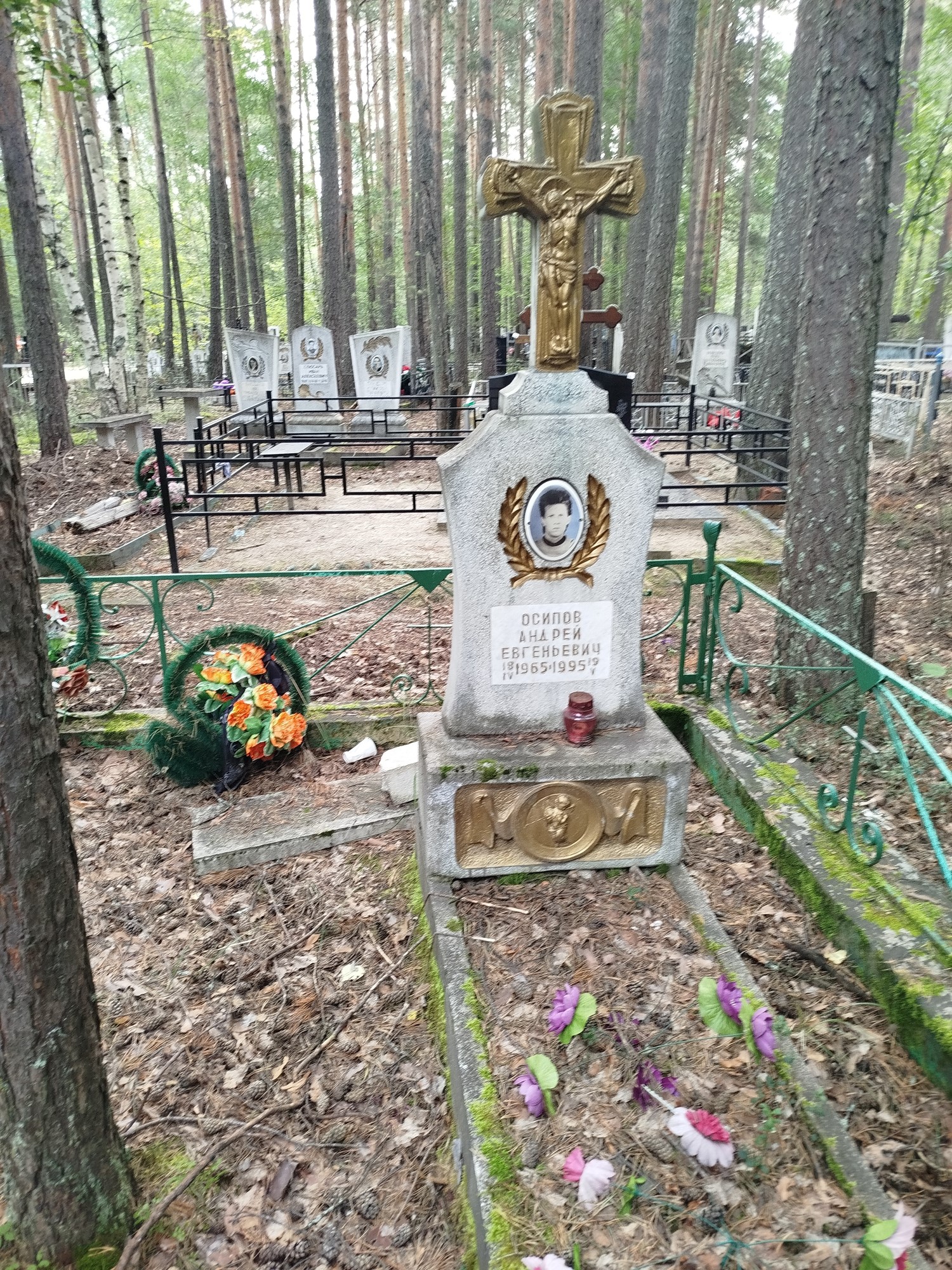 Осипов Андрей Евгеньевич