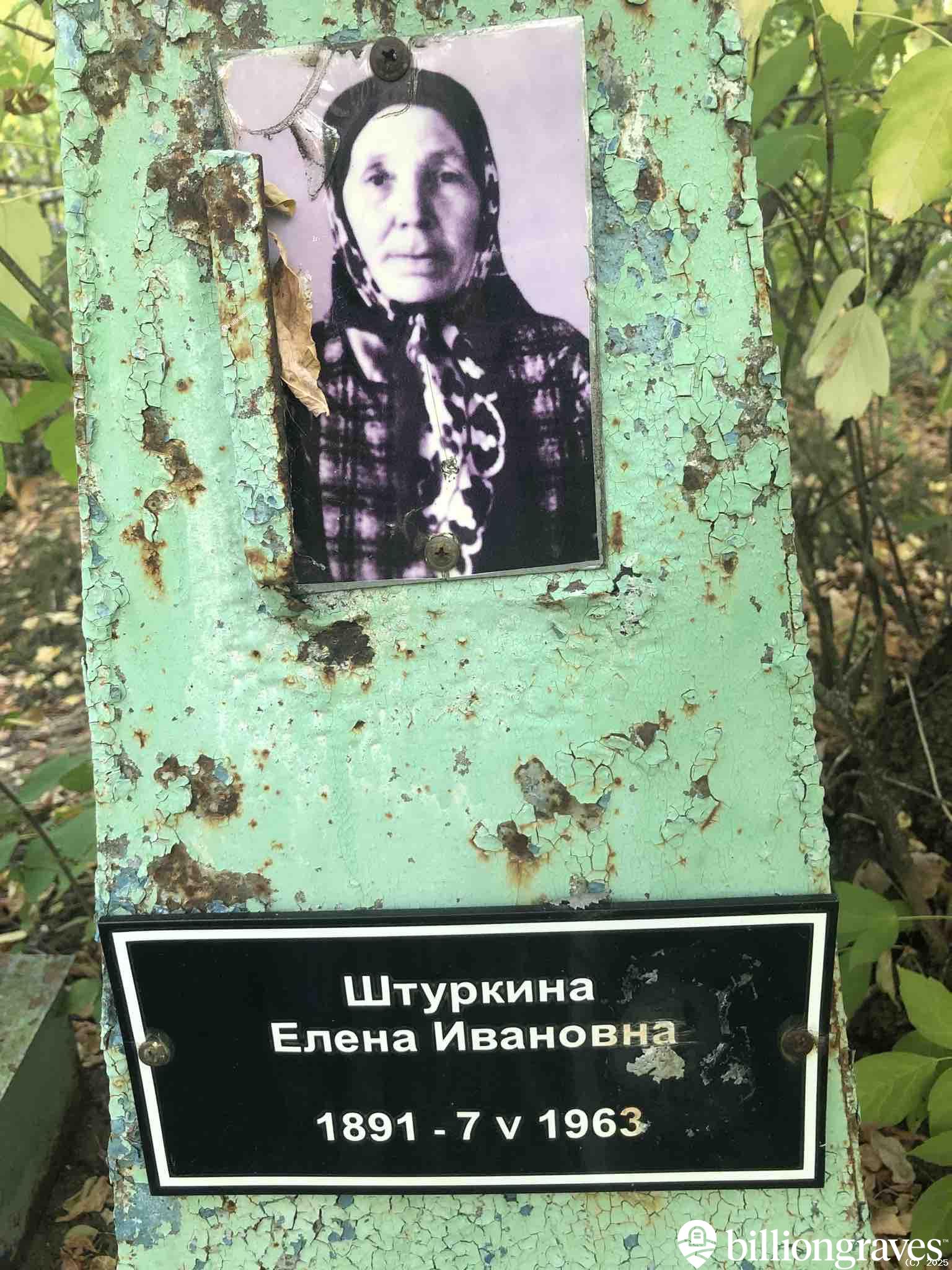 Штуркина Елена Ивановна