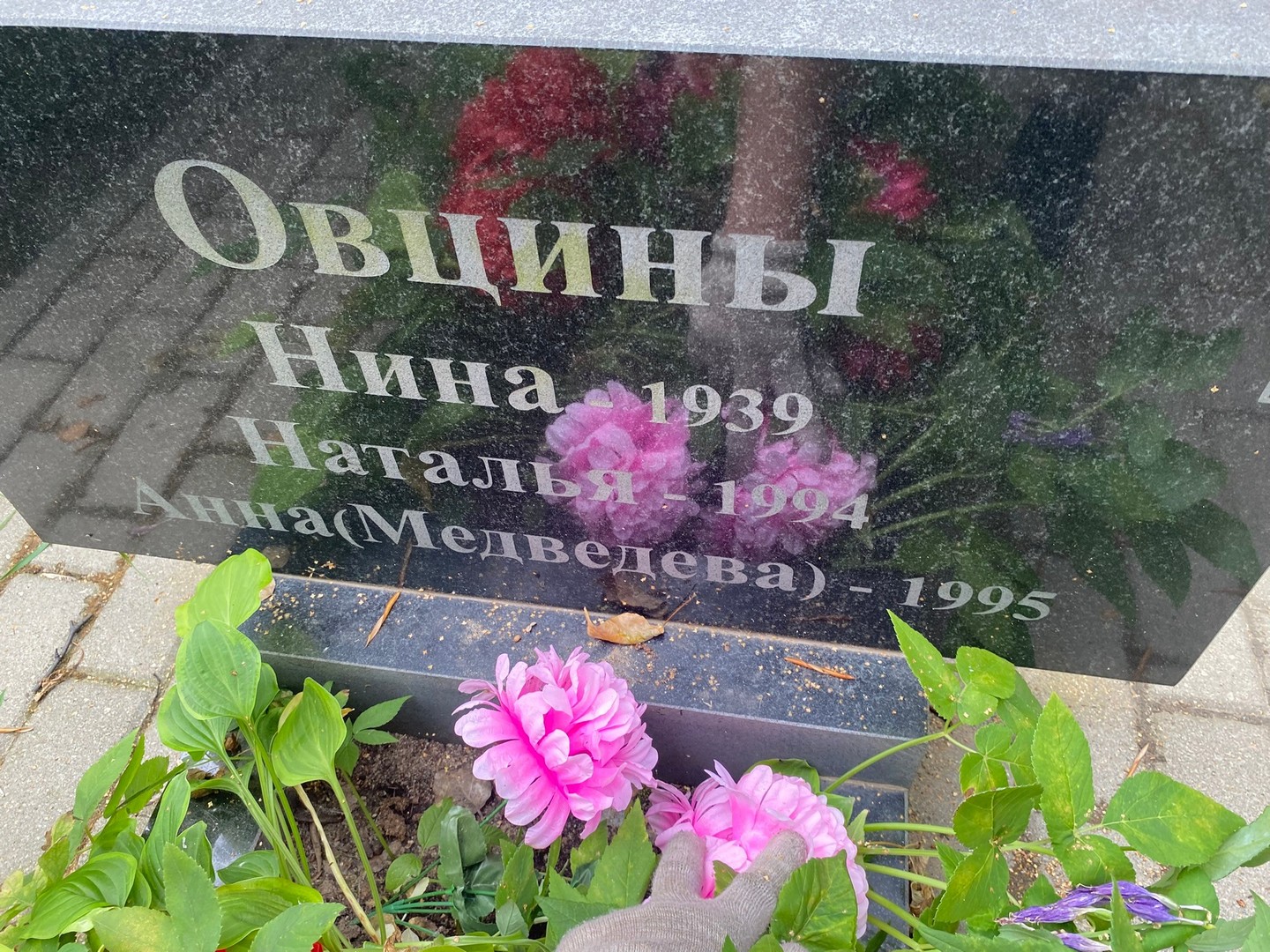 Овцина Овцина