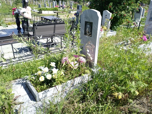 Сергеев Владимир Никифорович