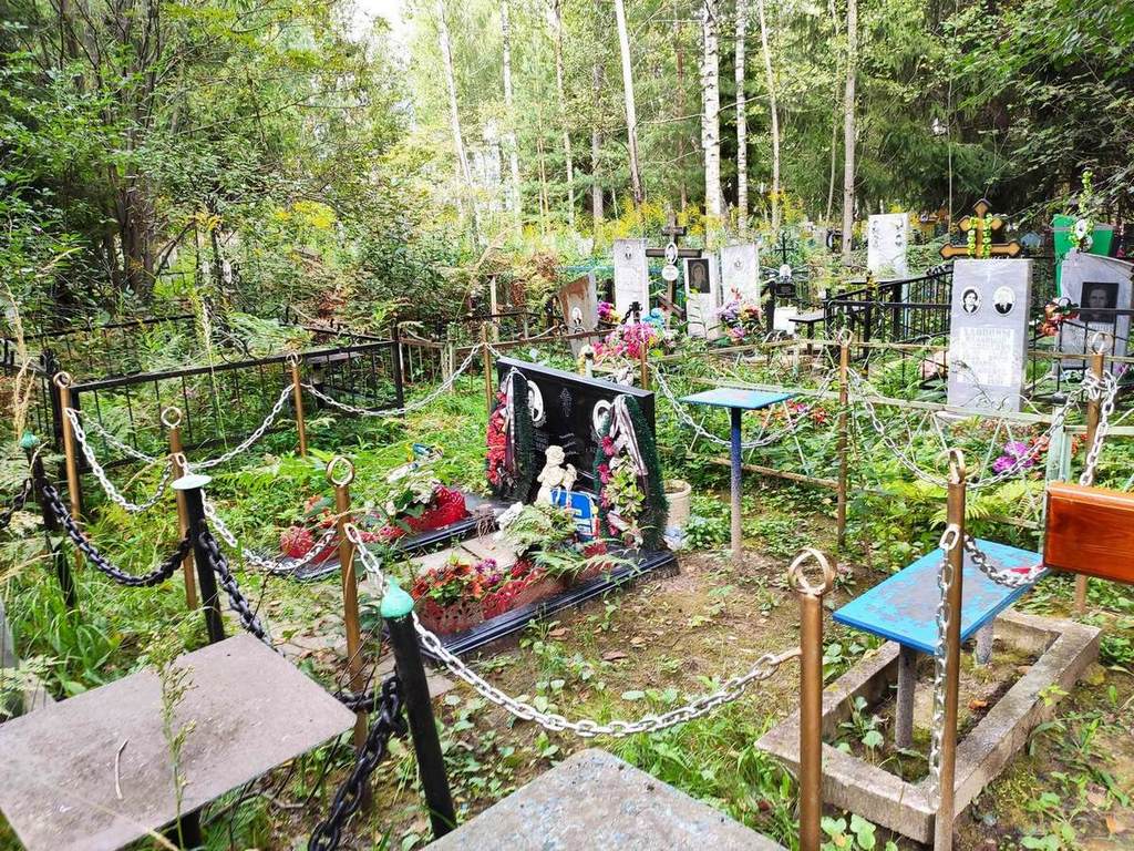 Кокурина Светлана Анатольевна