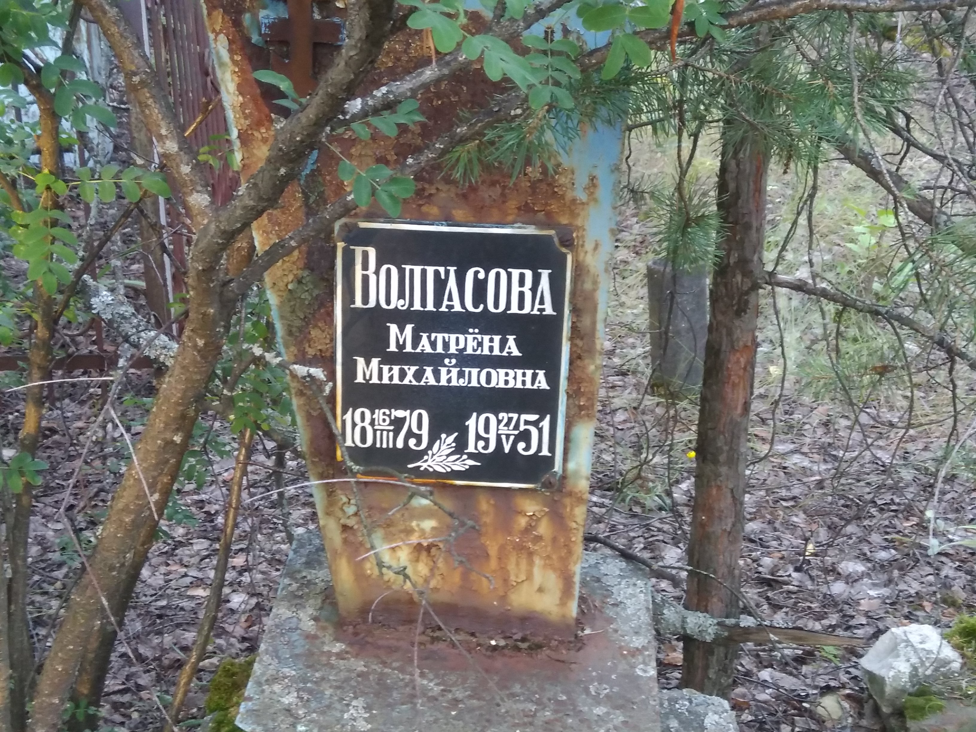 Волгасова Матрёна Михайловна