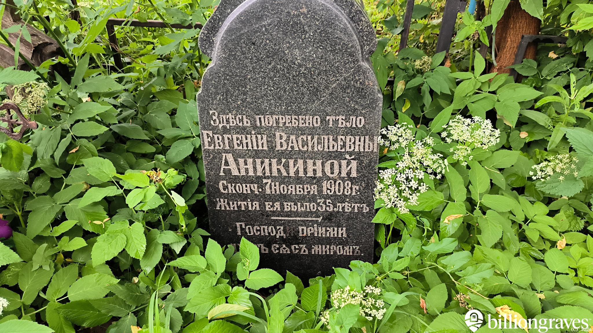 Аникина Евгения Васильевна