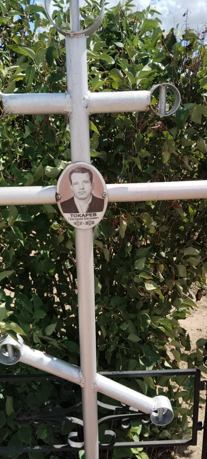 Токарев Григорий Евтеевич