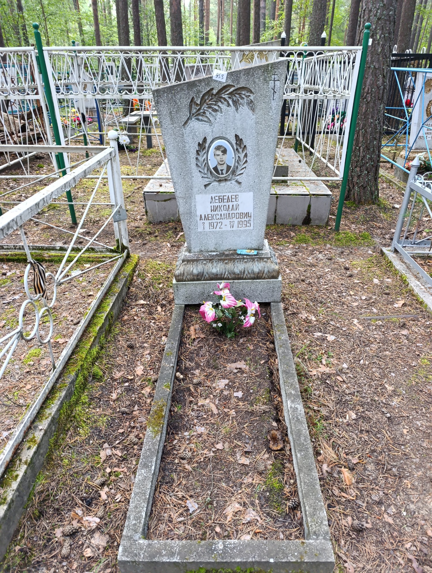 Лебедев Николай Александрович