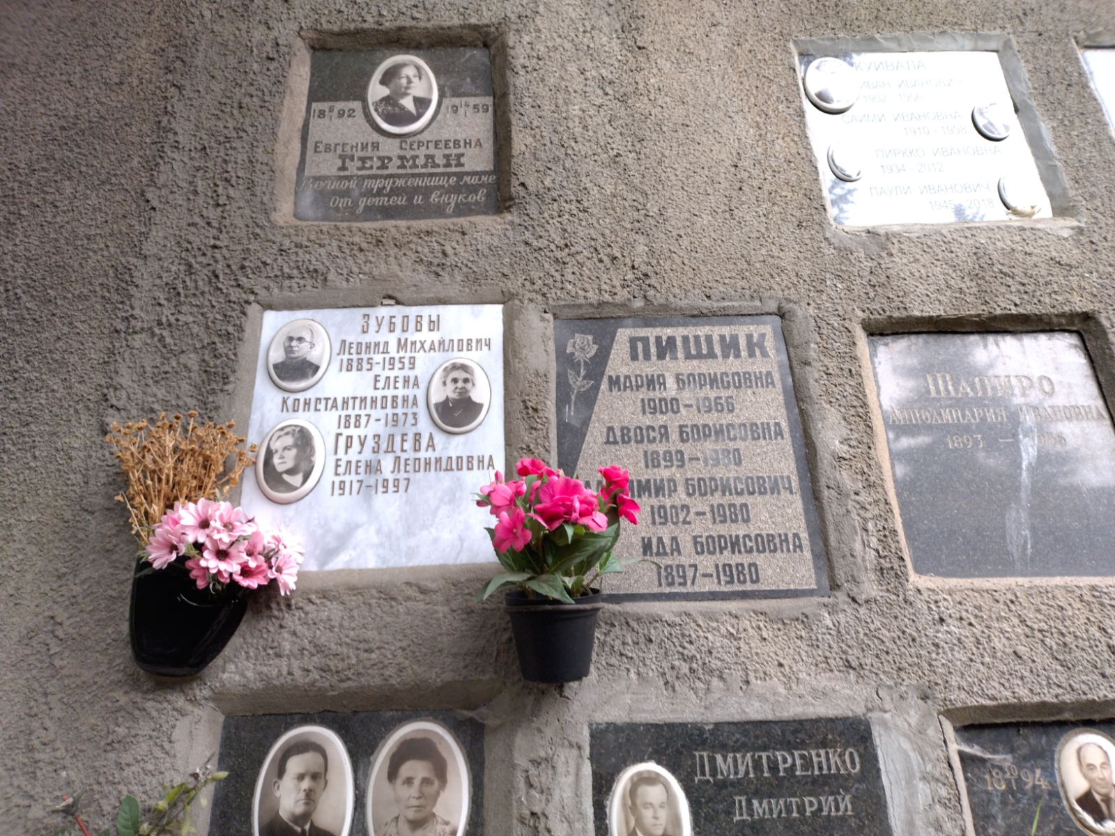 Герман Евгения Сергеевна