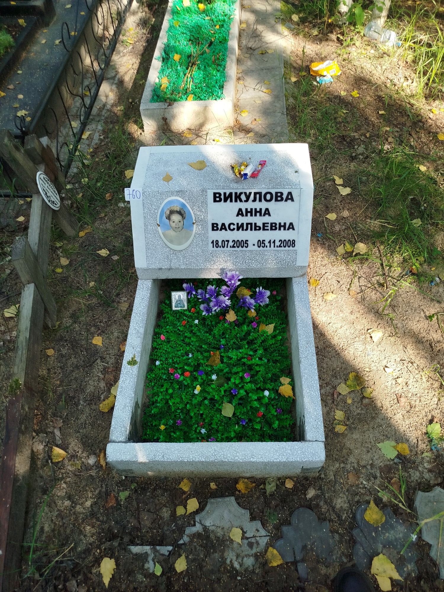 Викулова Анна Васильевна