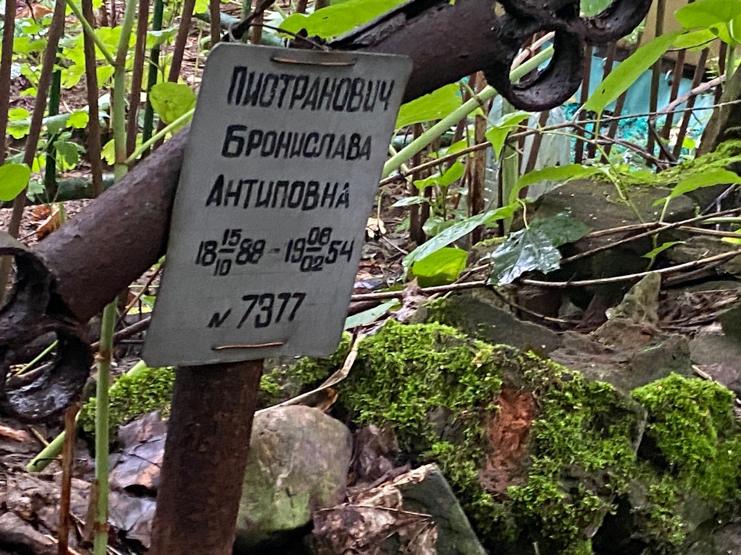Бронислава Пиотранович Антиповна