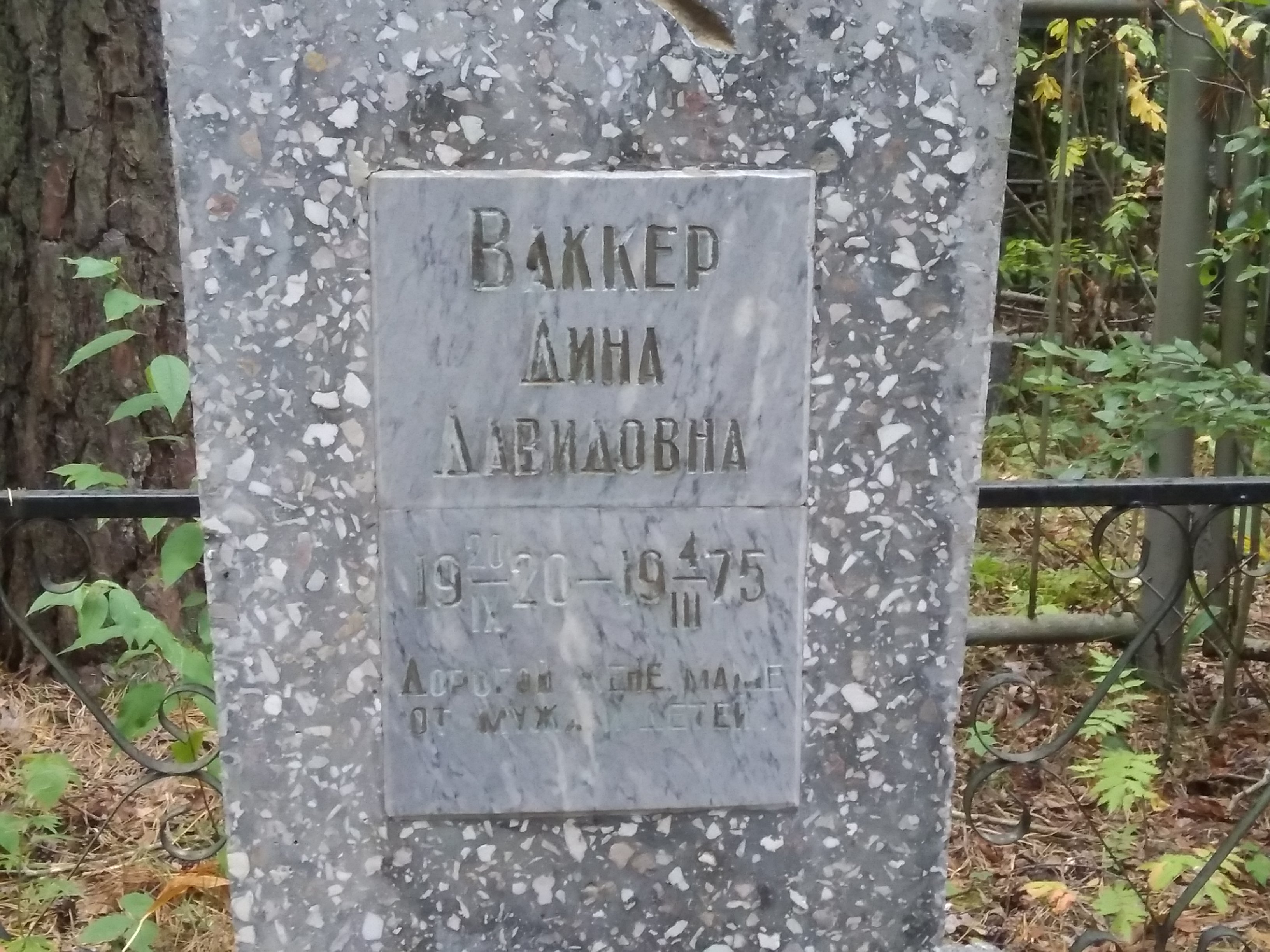 Ваккер Дина Давидовна