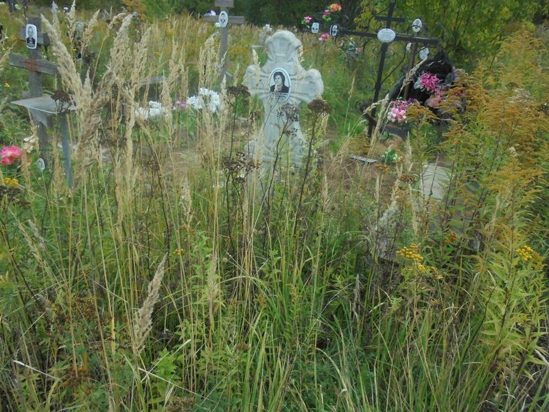 Стародубцева Александра Петровна