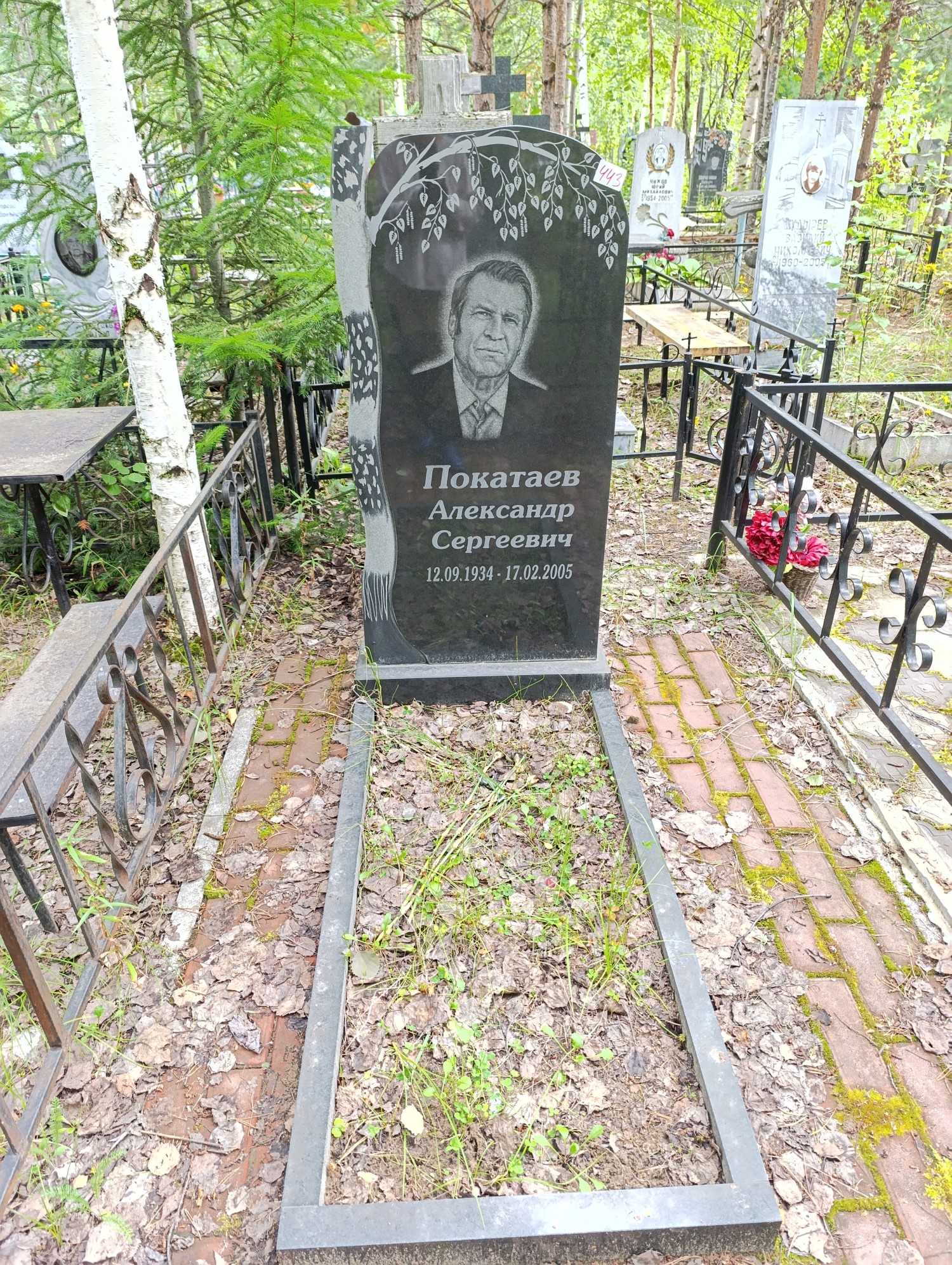 Покатаев Александр Сергеевич