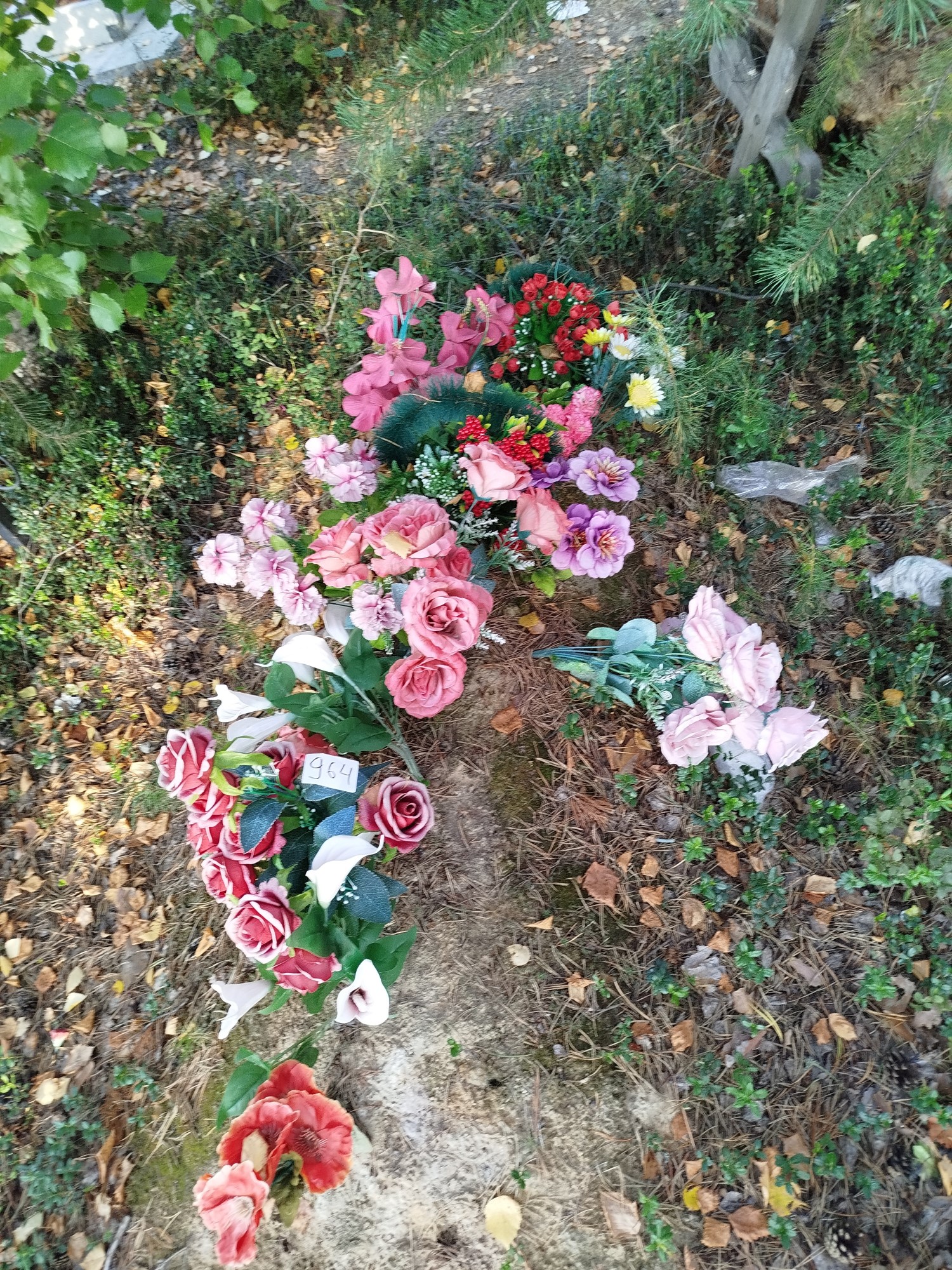 Гусева Клавдия Тимофеевна