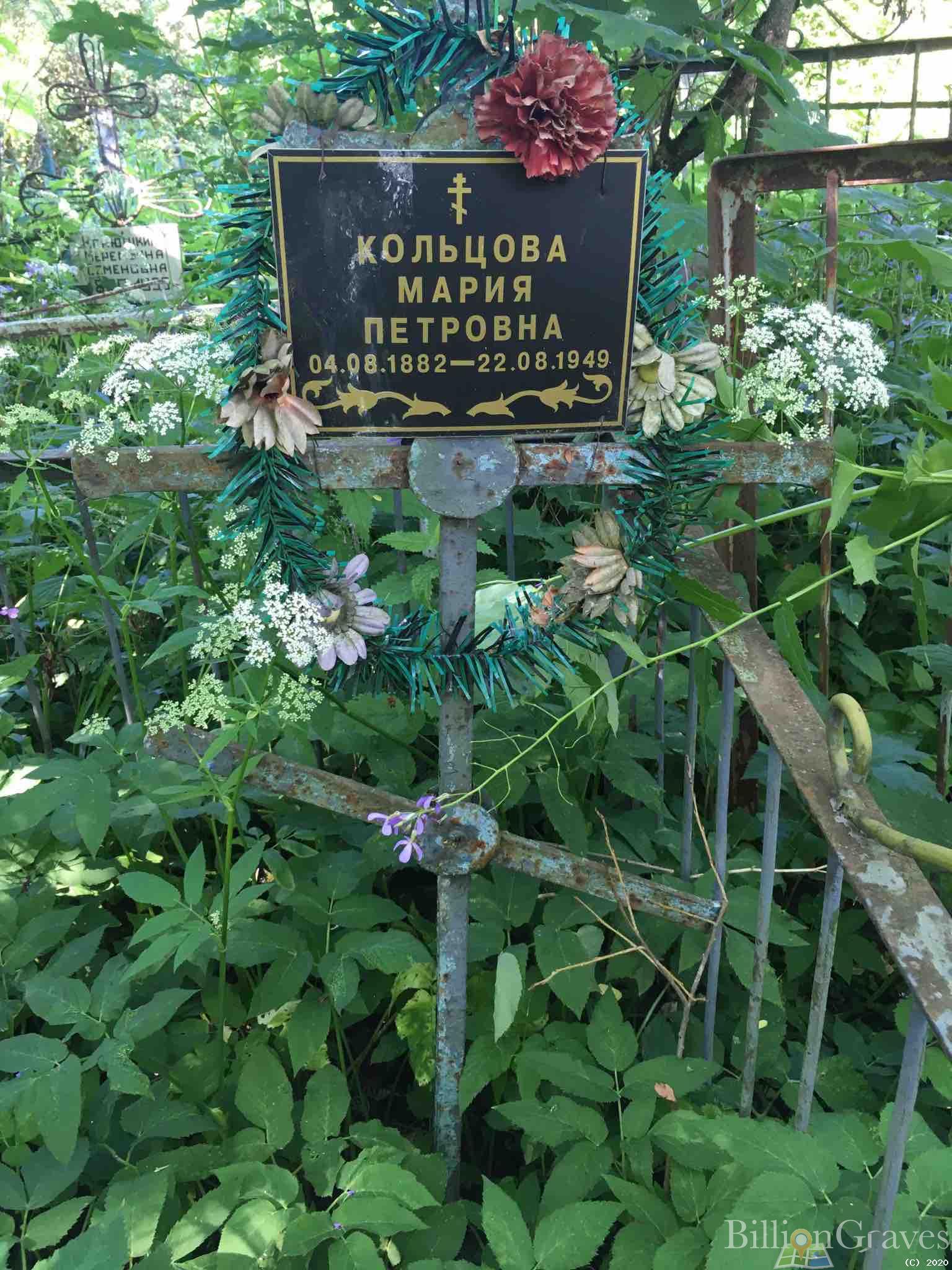 Кольцова Мария Петровна