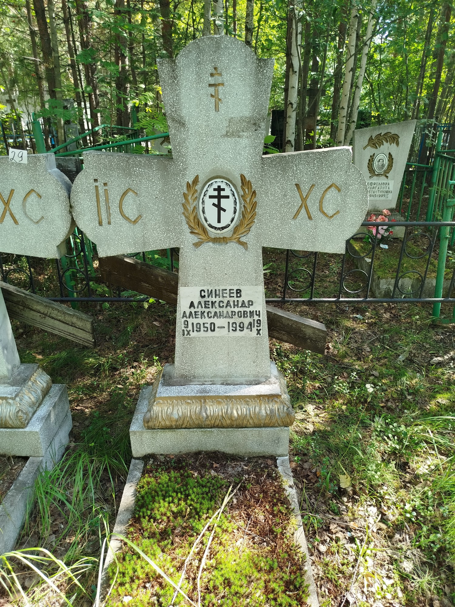 Синеев Александр Александрович