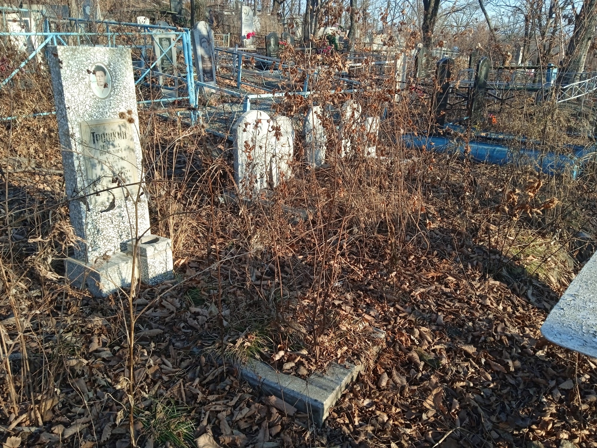 Рубцова Александра Константиновна