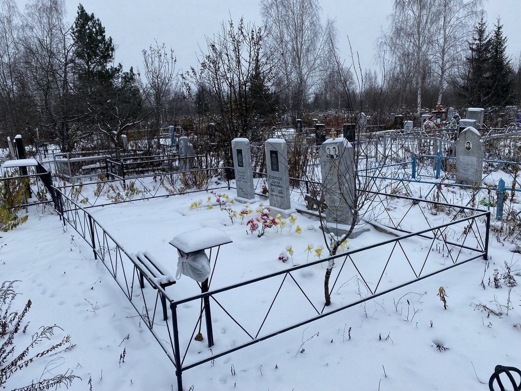 Старков Владимир Сергеевич