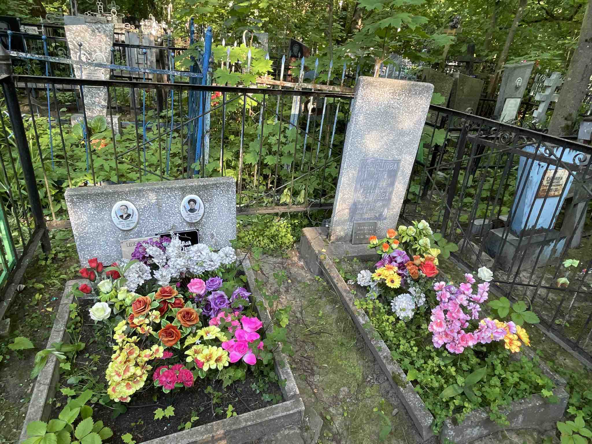Куляшова Мария Тарасовна