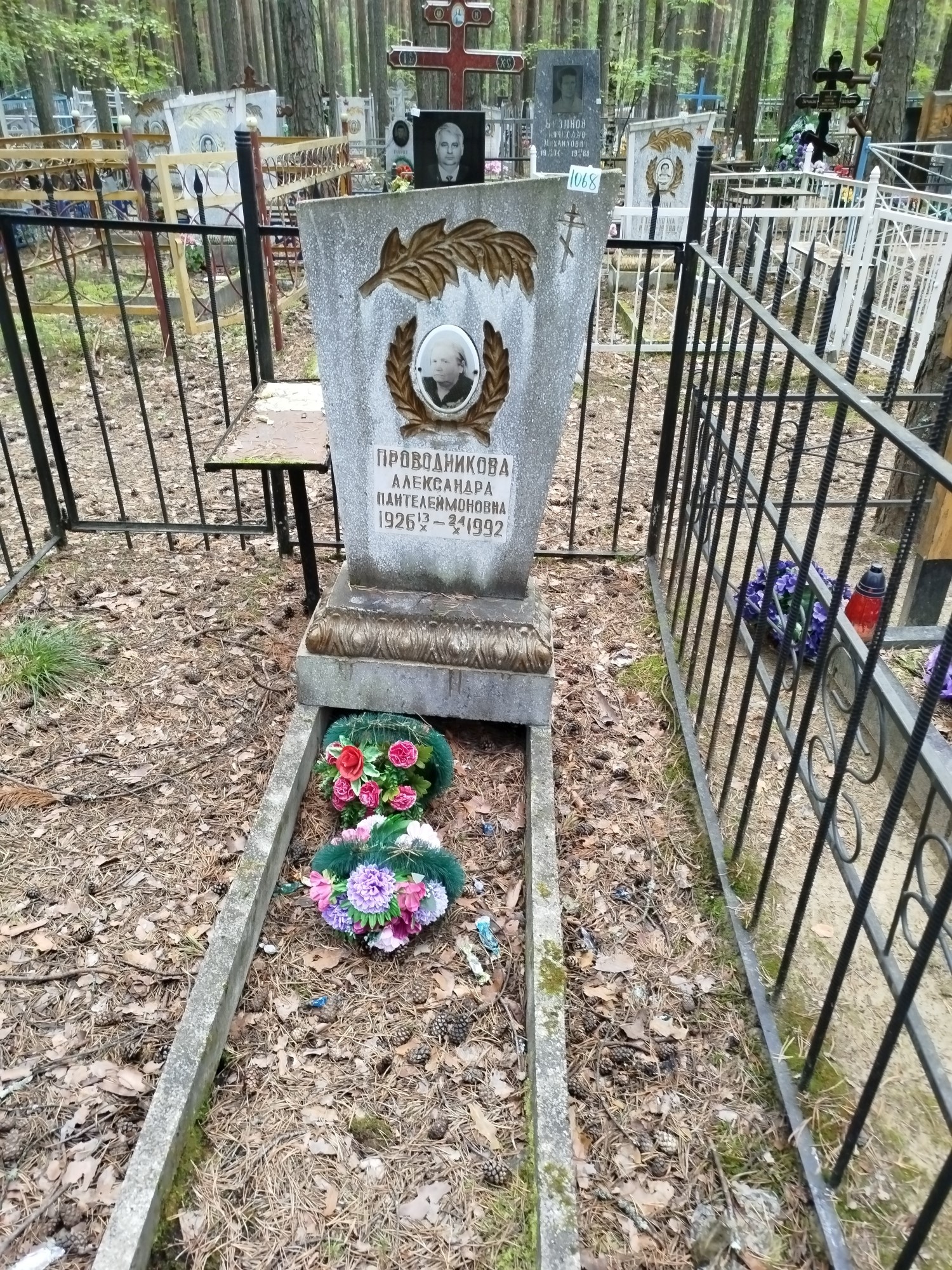 Проводникова Александра Пантелеймоновна
