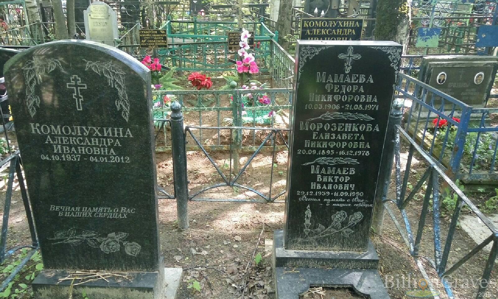 комолухина александра ивановна