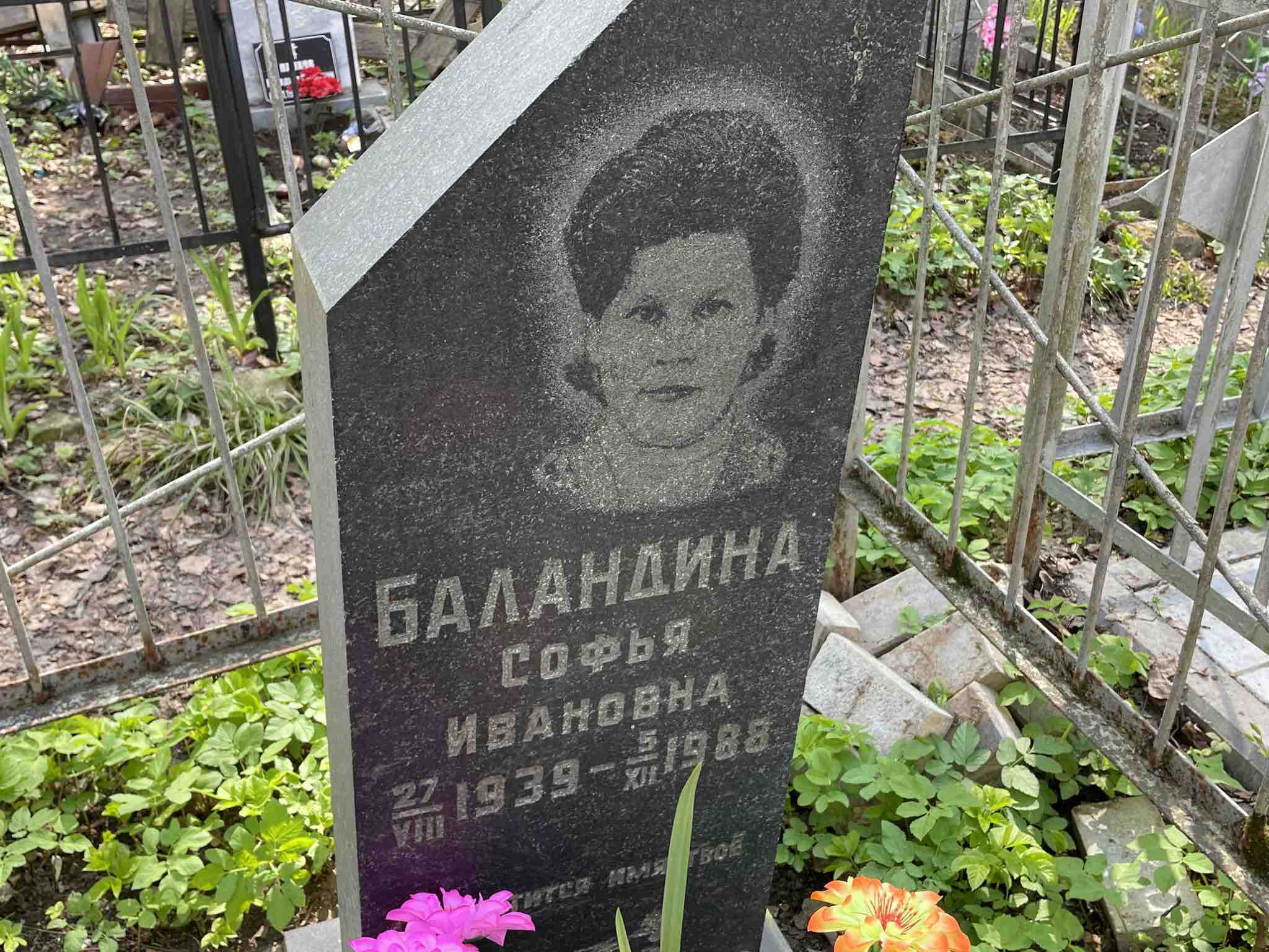 Баландина Софья Ивановна