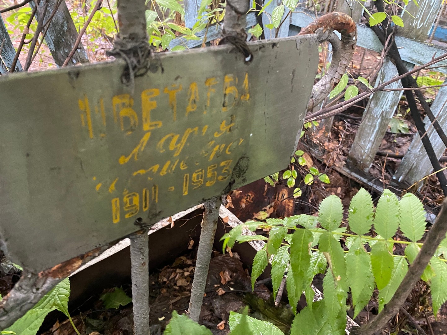 Цветаева Цветаева