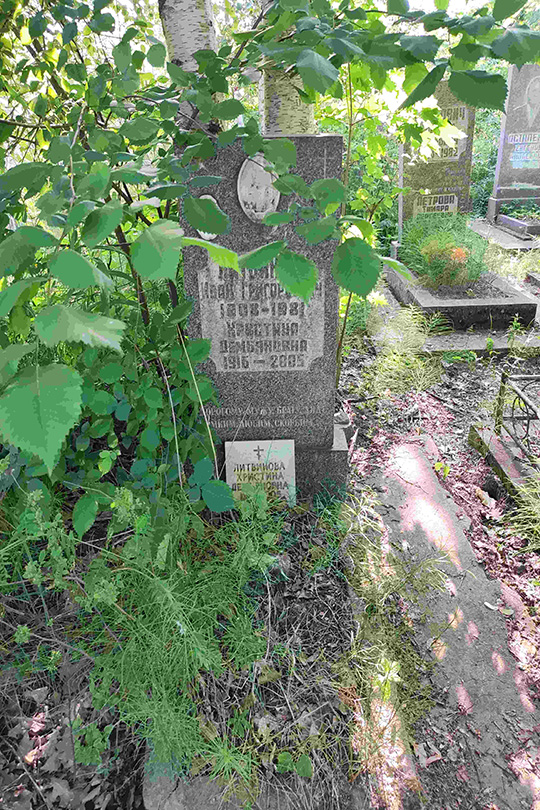 Литвинова Христина Демьяновна