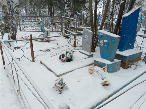 Штамм Александр Адамович