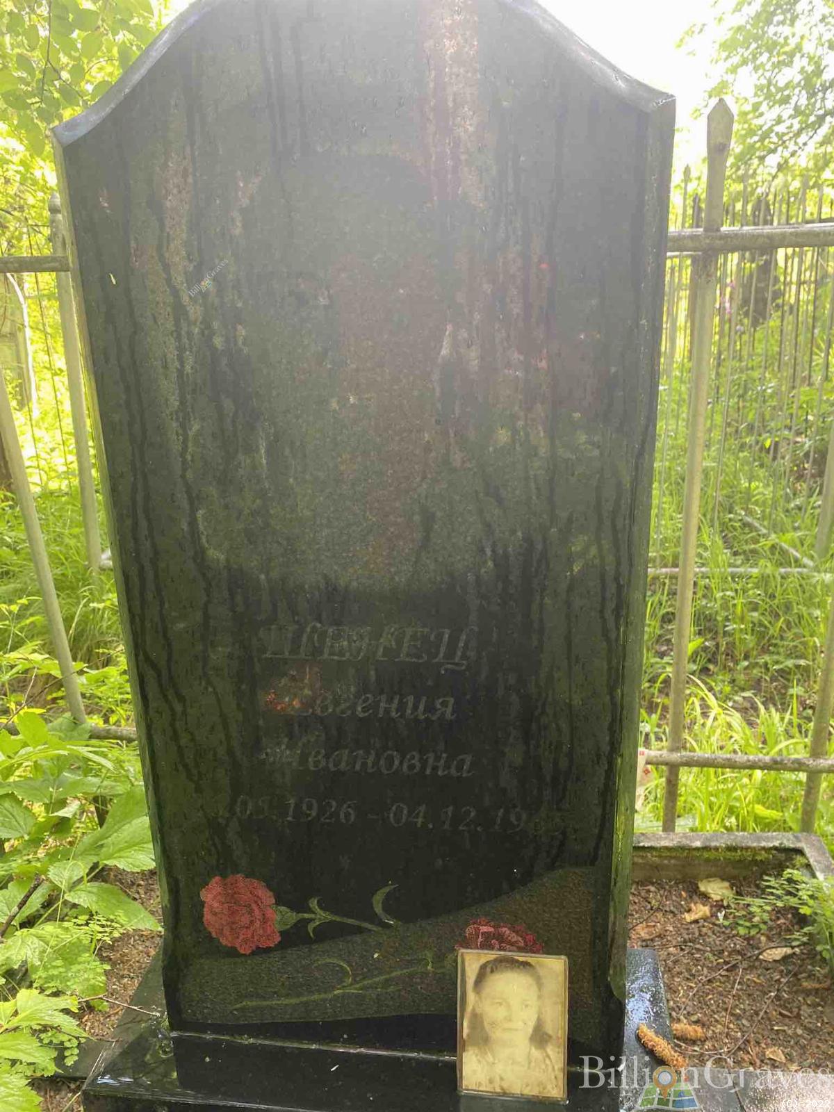 Шенец Евгения Ивановна