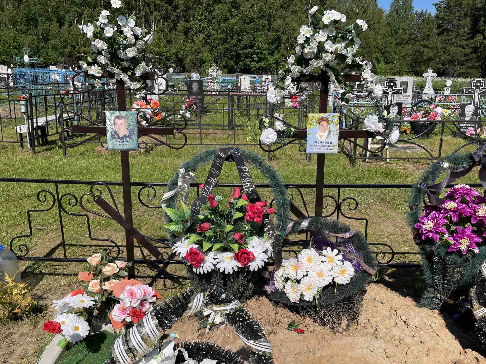 Жучкова Альбина Александровна