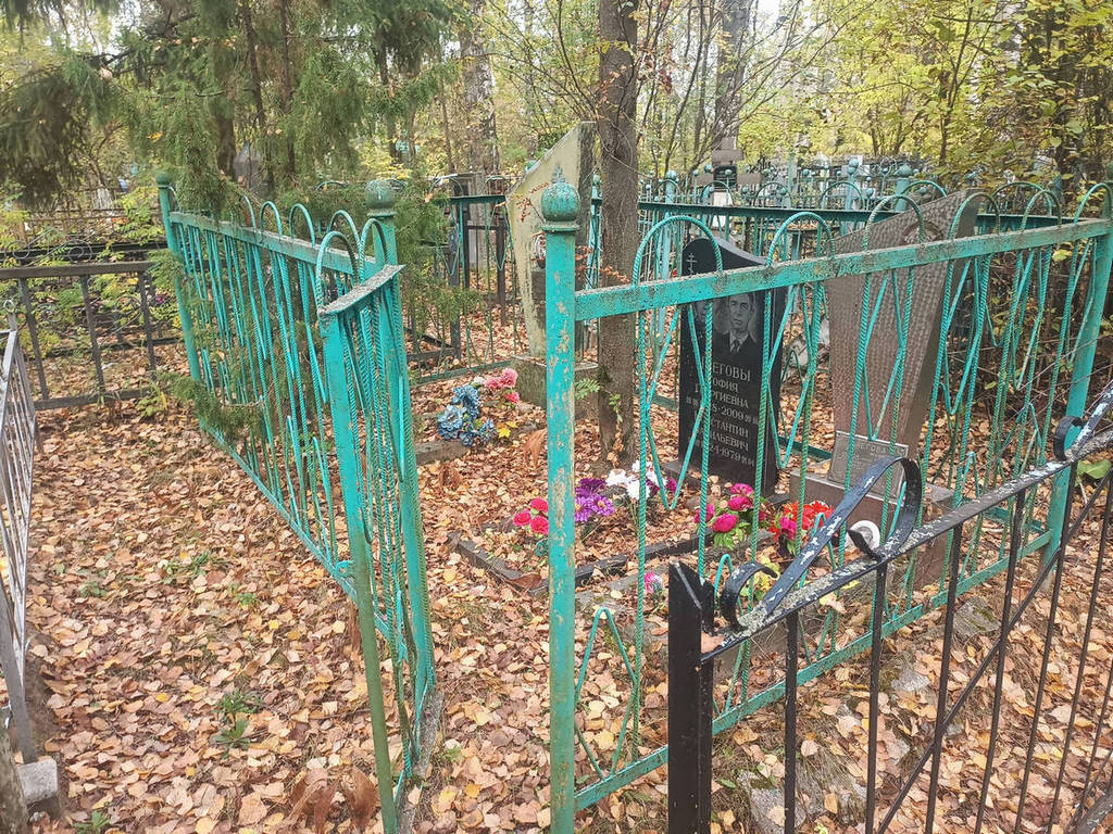 Чнегова Анна Федоровна