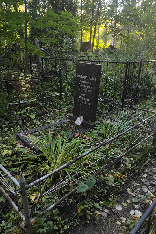 Шаповалова Елизавета Тимофеевна