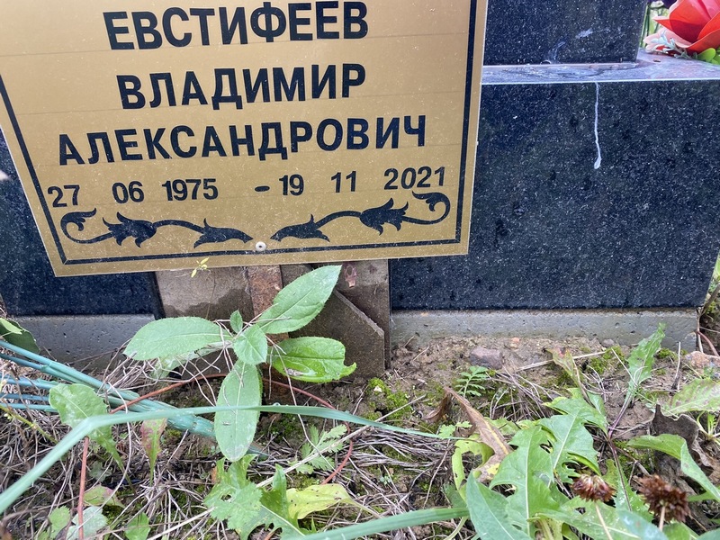 Евстифеев
