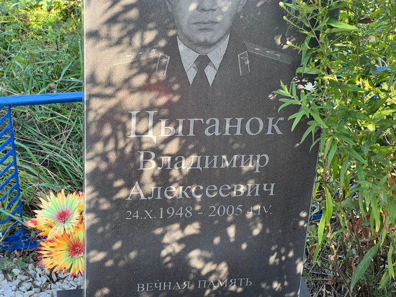 Цыганок