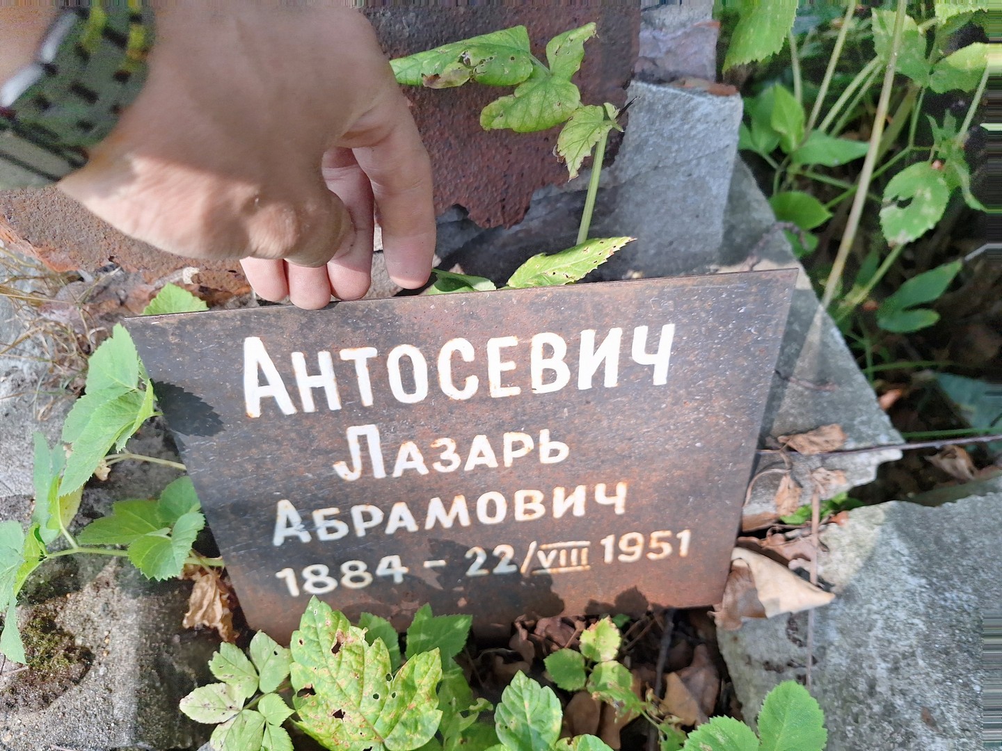 Лазарь Антосевич Абрамович