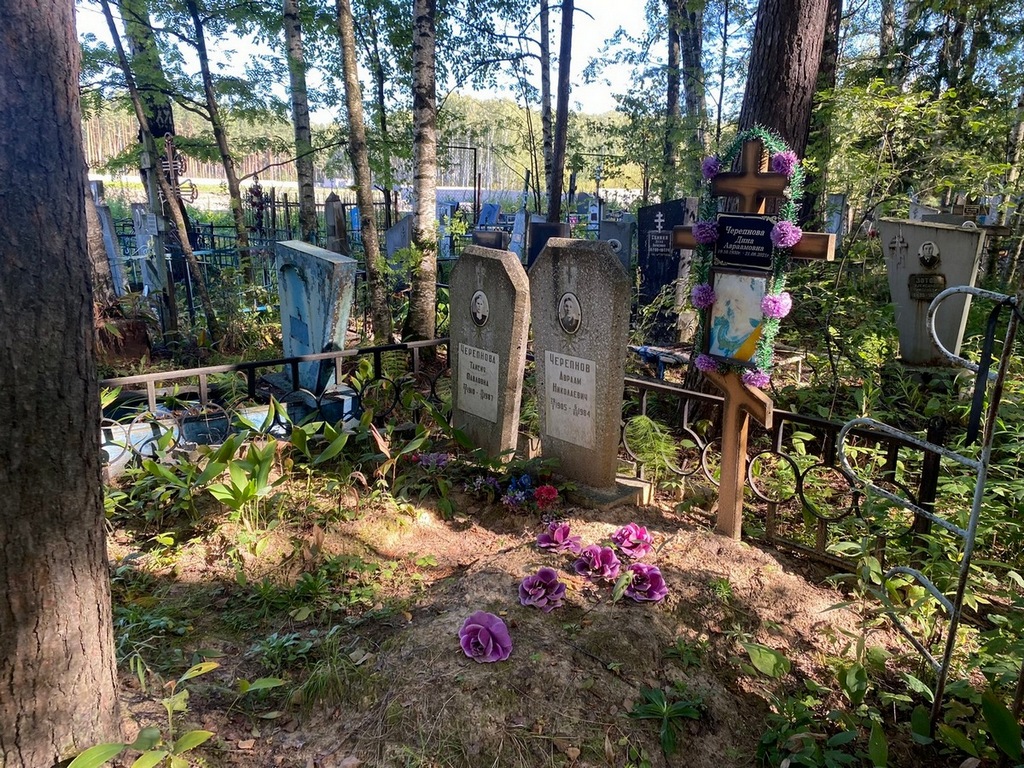 Черепнова Дина Авраамовна