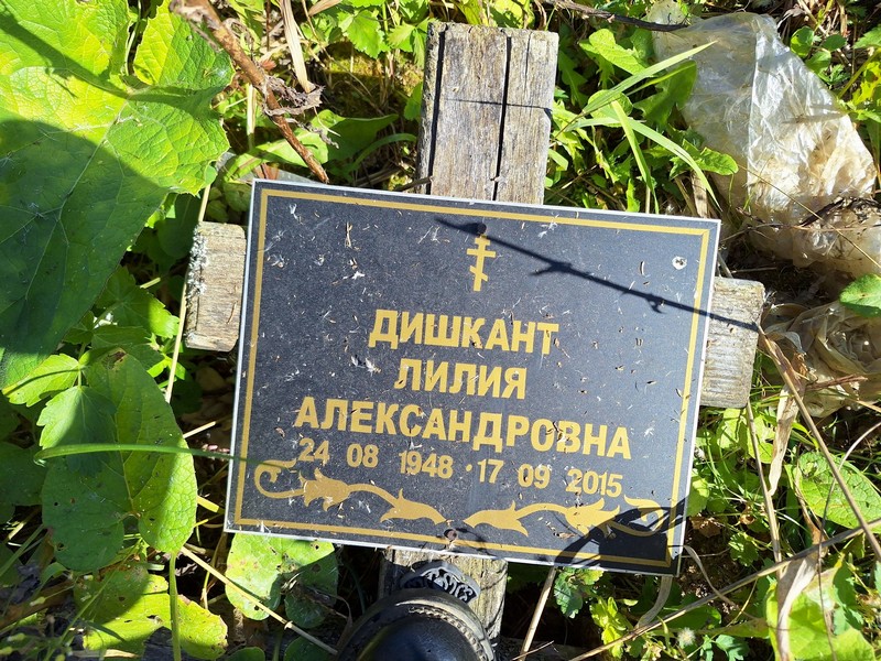 Лилия Дишкант Александровна